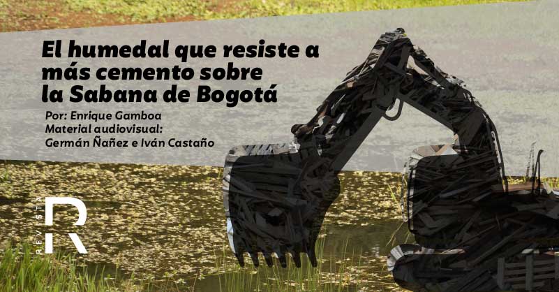 El humedal que resiste a más cemento sobre la Sabana de Bogotá