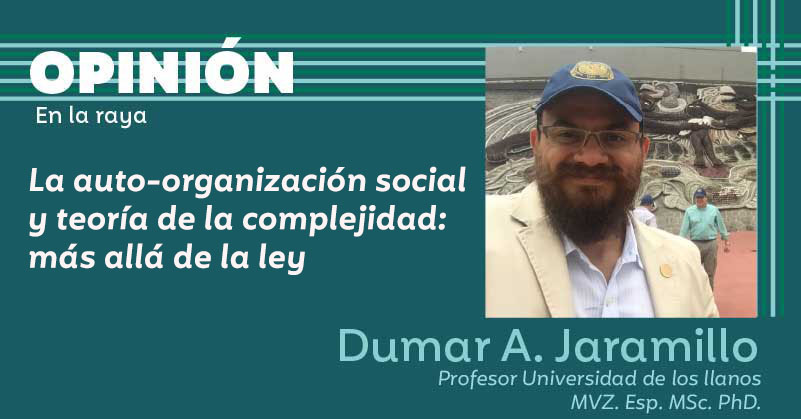 La auto-organización social y teoría de la complejidad: más allá de la ley