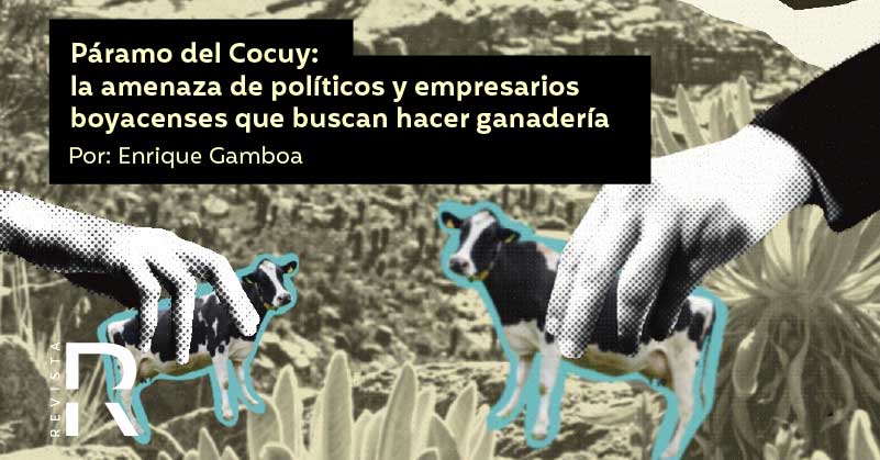 Páramo del Cocuy: la amenaza de políticos y empresarios boyacenses que buscan hacer ganadería 