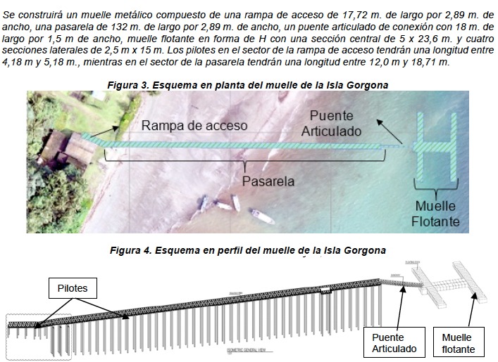 Gorgona4