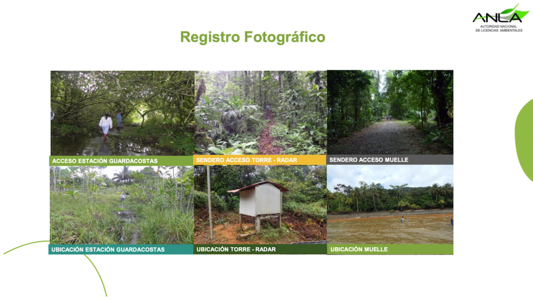 Gorgona1