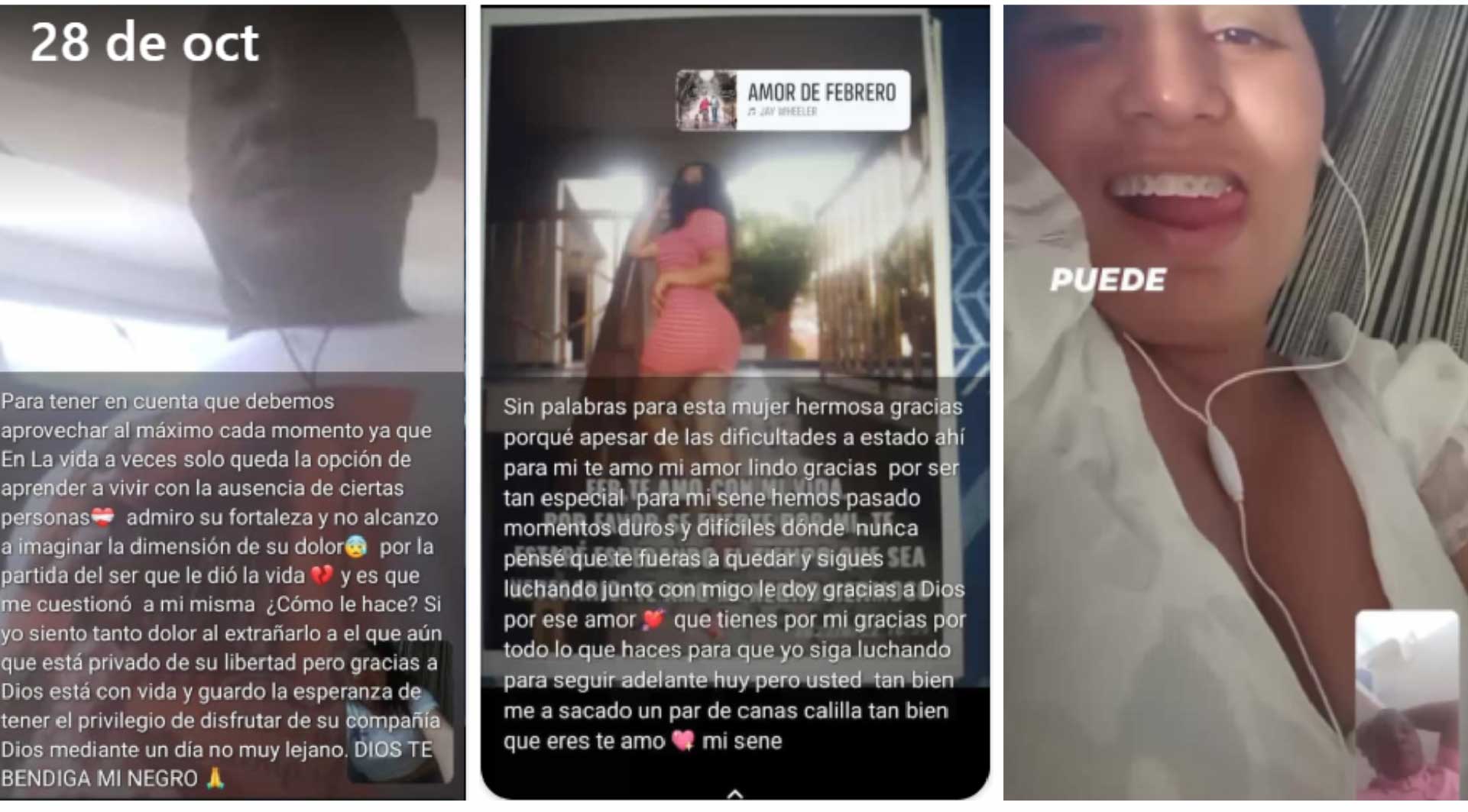 seneidy facsimil 5
