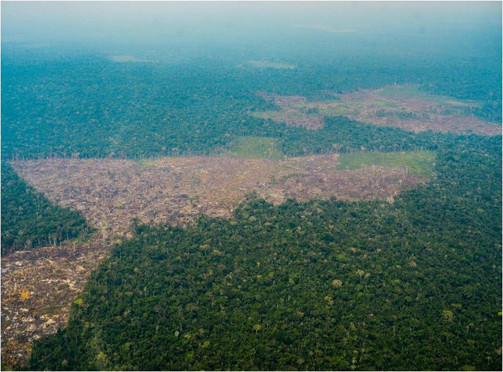 Artemisa mindefensa2