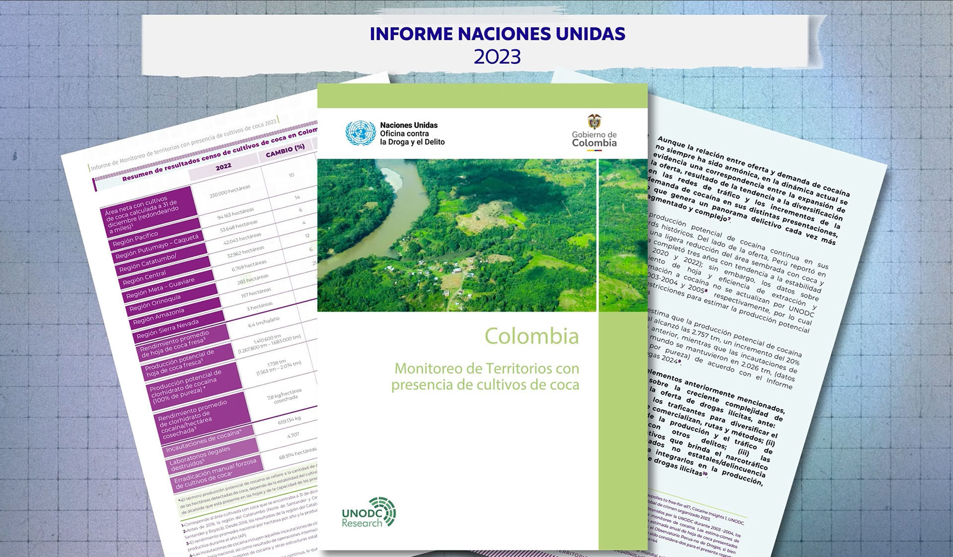 onu coca Informe Naciones Unidas