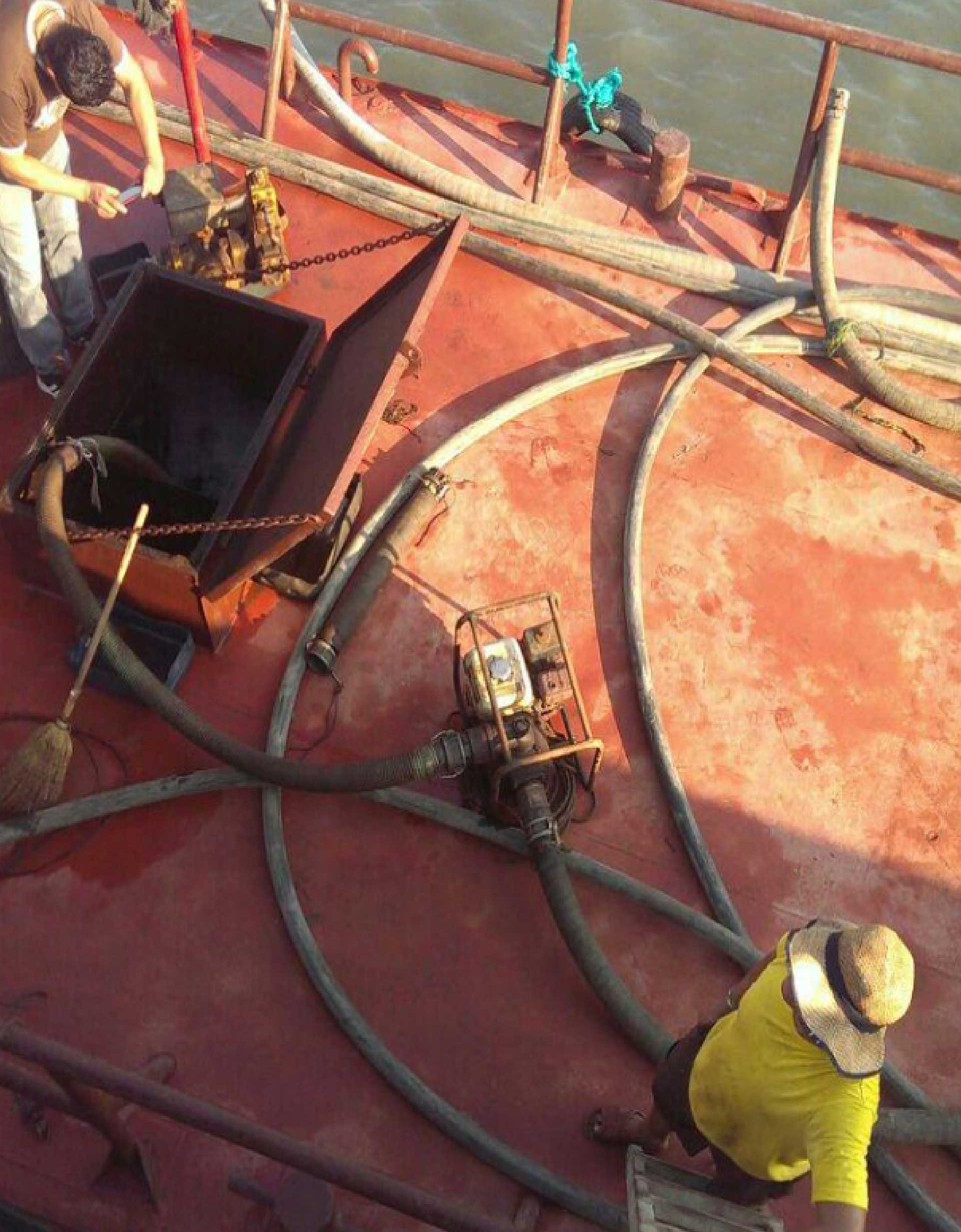 facsimil petronoboa 11