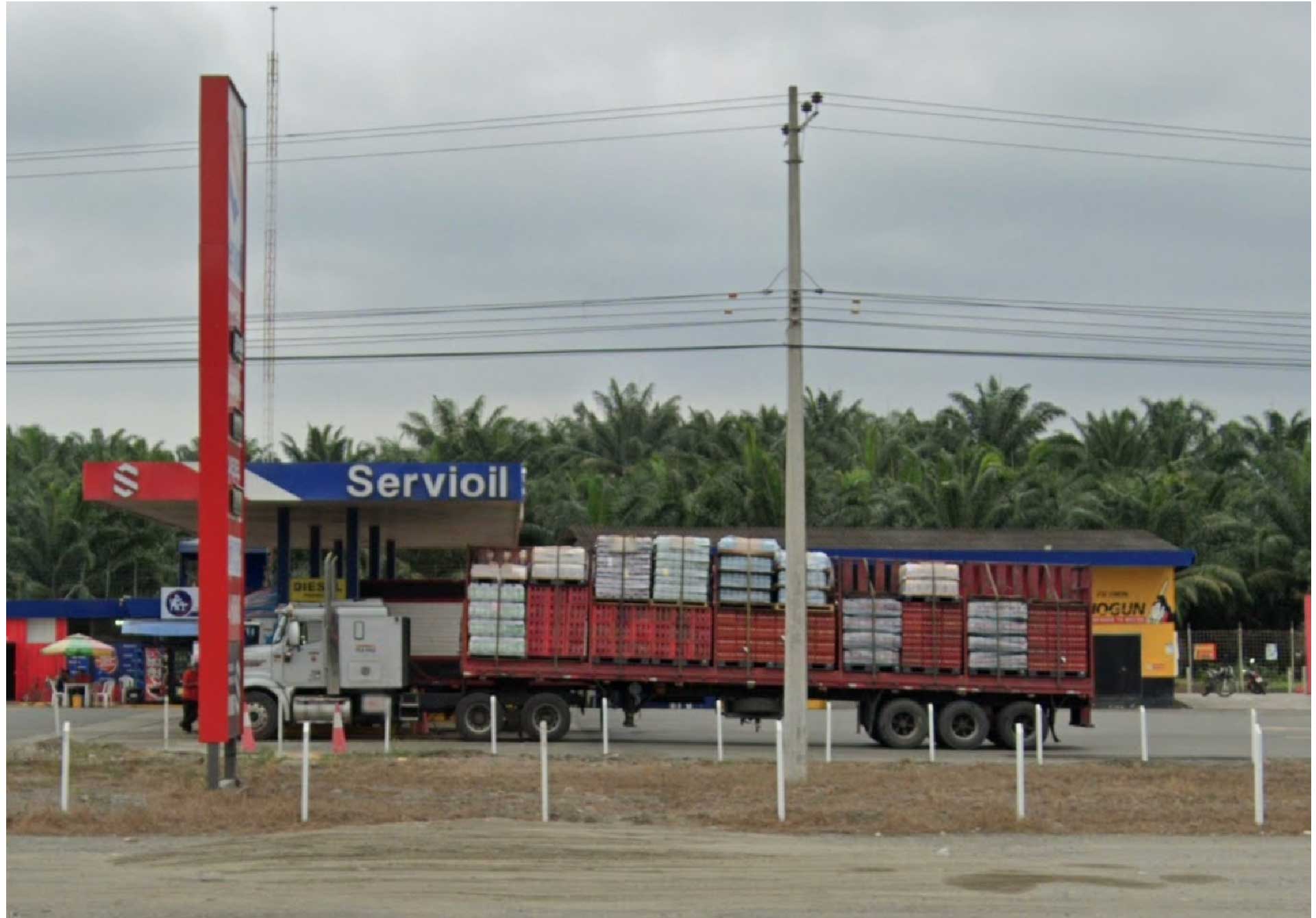 facsimil petronoboa 7