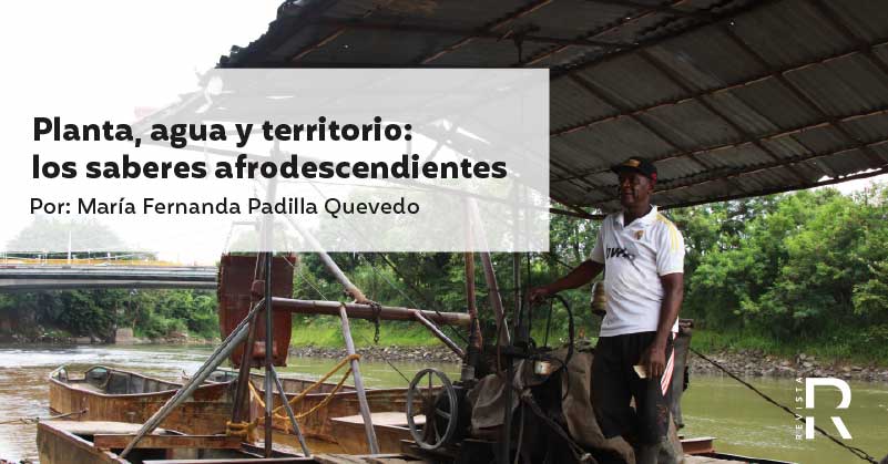 Planta, agua y territorio: los saberes afrodescendientes