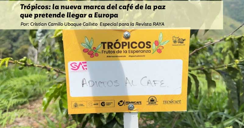 Trópicos: la nueva marca del café de la paz que pretende llegar a Europa