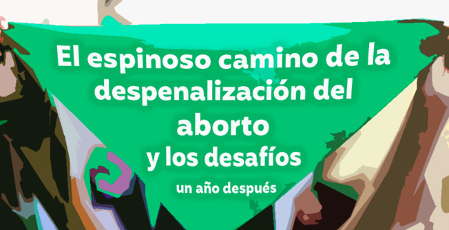 El espinoso camino de la despenalización del aborto y los desafíos un año después