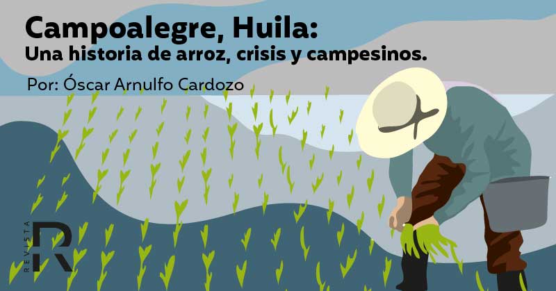 La crisis arrocera en Campoalegre, Huila, es la crisis del sector en el país 