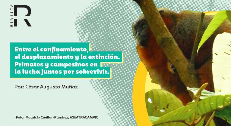 Entre el confinamiento, el desplazamiento y la extinción. Primates y campesinos en la lucha juntos por sobrevivir.