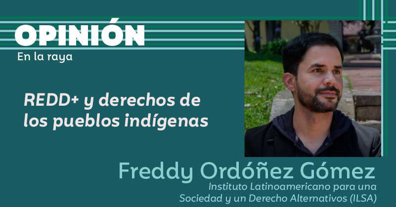 REDD+ y derechos de los pueblos indígenas