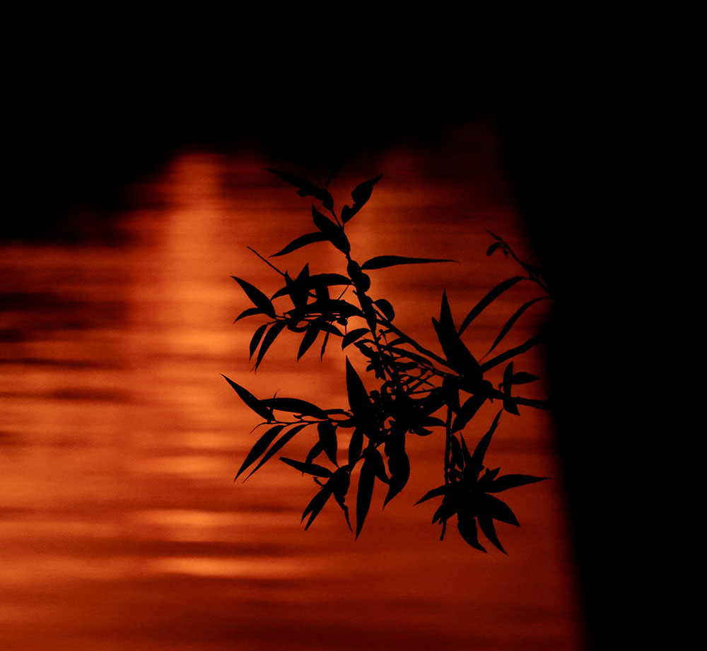 patagonia incendio 22