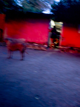 foto reportaje